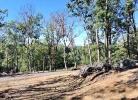 Lot 13 – Pine Ridge Rd EXT, Wardensville, WV