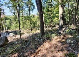 Lot 13 – Pine Ridge Rd EXT, Wardensville, WV