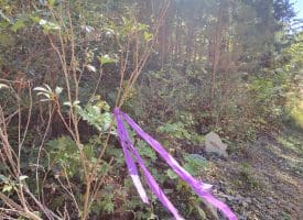 Lot 13 – Pine Ridge Rd EXT, Wardensville, WV
