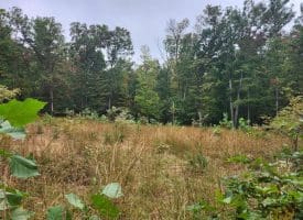 Lot 17 Quaker Lake Trl., Capon Bridge, WV  26711