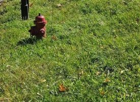 Parcel C Dawn View Dr., Fort Ashby, WV  26719