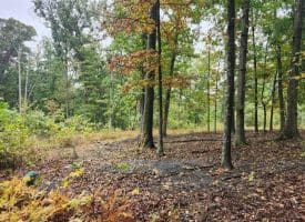 Lot 17 Quaker Lake Trl., Capon Bridge, WV  26711