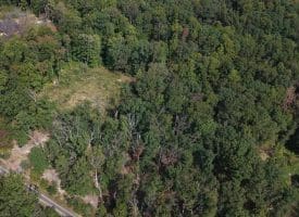Lot 17 Quaker Lake Trl., Capon Bridge, WV  26711