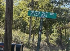 Lot 20-24 River Rat Dr., Springfield, WV  26763
