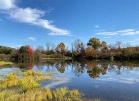 Lot 17 Quaker Lake Trl., Capon Bridge, WV  26711