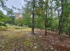 Lot 17 Quaker Lake Trl., Capon Bridge, WV  26711