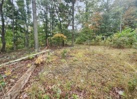 Lot 17 Quaker Lake Trl., Capon Bridge, WV  26711