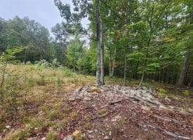 Lot 17 Quaker Lake Trl., Capon Bridge, WV  26711