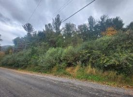 Lot 3 Wildlife Dr., Lost City, WV  26810