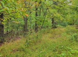 Hawks Way, Delray, WV  26714