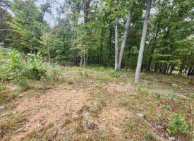 Lot 17 Quaker Lake Trl., Capon Bridge, WV  26711