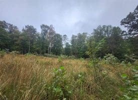 Lot 17 Quaker Lake Trl., Capon Bridge, WV  26711