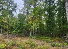 Lot 17 Quaker Lake Trl., Capon Bridge, WV  26711