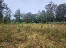 Lot 17 Quaker Lake Trl., Capon Bridge, WV  26711