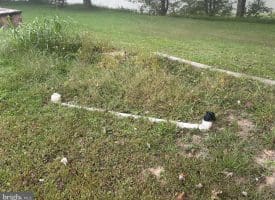 Lot 20-24 River Rat Dr., Springfield, WV  26763