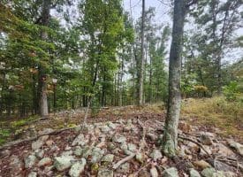 Lot 17 Quaker Lake Trl., Capon Bridge, WV  26711