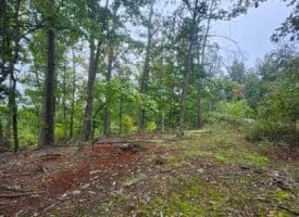 Lot 17 Quaker Lake Trl., Capon Bridge, WV  26711