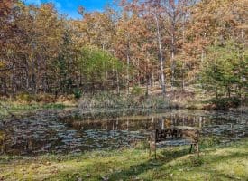 1705 KERNS SCHOOL ROAD, SPRINGFIELD, WV 26763