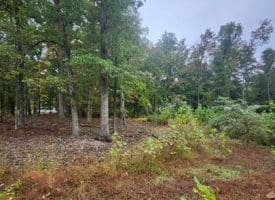 Lot 17 Quaker Lake Trl., Capon Bridge, WV  26711