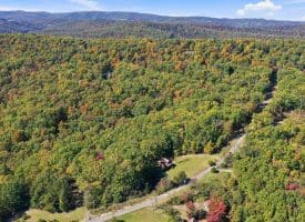 289 MOUNTAIN STATE RD, RIO, WV