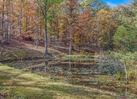 1705 KERNS SCHOOL ROAD, SPRINGFIELD, WV 26763