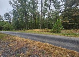 Lot 17 Quaker Lake Trl., Capon Bridge, WV  26711