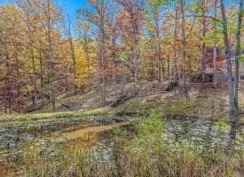 1705 KERNS SCHOOL ROAD, SPRINGFIELD, WV 26763