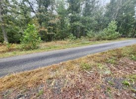 Lot 17 Quaker Lake Trl., Capon Bridge, WV  26711