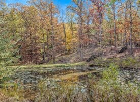 1705 KERNS SCHOOL ROAD, SPRINGFIELD, WV 26763