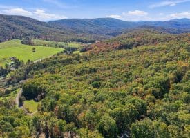 289 MOUNTAIN STATE RD, RIO, WV