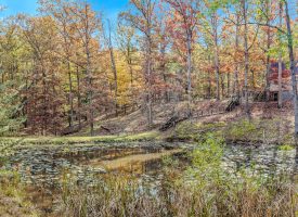 1705 KERNS SCHOOL ROAD, SPRINGFIELD, WV 26763