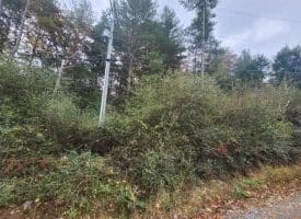 Lot 3 Wildlife Dr., Lost City, WV  26810