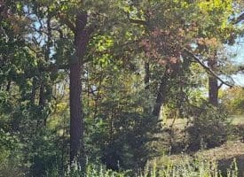 Parcel A Dawn View Dr., Fort Ashby, WV  26719