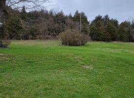 19712 Northwestern Pike, Shanks, WV  26761