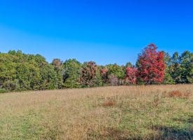 246 Brennans Way, High View, WV 26808