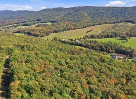 289 MOUNTAIN STATE RD, RIO, WV
