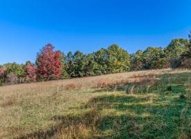 246 Brennans Way, High View, WV 26808
