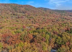 1705 KERNS SCHOOL ROAD, SPRINGFIELD, WV 26763
