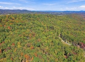 289 MOUNTAIN STATE RD, RIO, WV