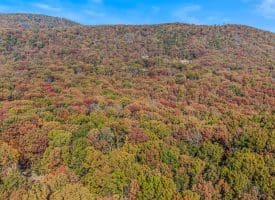 1705 KERNS SCHOOL ROAD, SPRINGFIELD, WV 26763