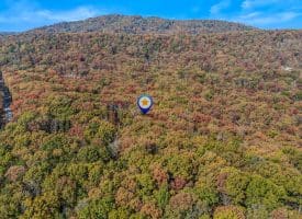 1705 KERNS SCHOOL ROAD, SPRINGFIELD, WV 26763