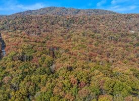 1705 KERNS SCHOOL ROAD, SPRINGFIELD, WV 26763