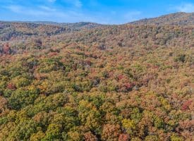 1705 KERNS SCHOOL ROAD, SPRINGFIELD, WV 26763