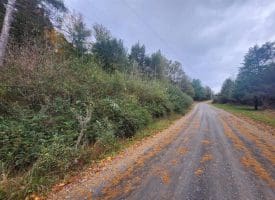 Lot 3 Wildlife Dr., Lost City, WV  26810