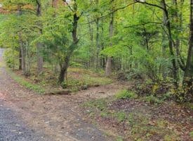 Hawks Way, Delray, WV  26714