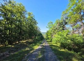 Lot 75 Hunters Ridge Trl., Moorefield, WV  26836