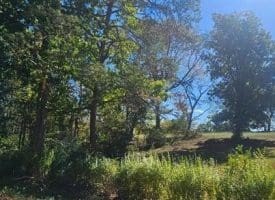 Parcel A Dawn View Dr., Fort Ashby, WV  26719