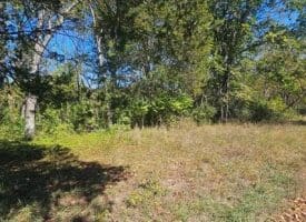 Parcel B Dawn View Dr., Fort Ashby, WV  26719