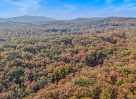 1705 KERNS SCHOOL ROAD, SPRINGFIELD, WV 26763