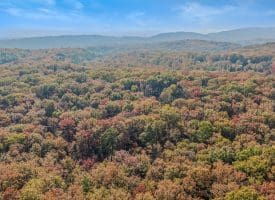 1705 KERNS SCHOOL ROAD, SPRINGFIELD, WV 26763